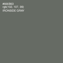 #666B63 - Ironside Gray Color Image